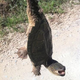 Image for article titled Shooting Challenge: Cellphone Gallery Part 10